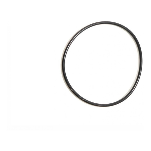 Anel O-Ring de Vedação 504325903 Iveco