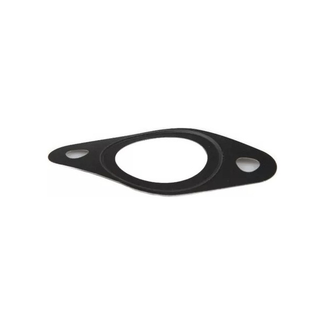Junta Plana do Motor 5801508688 Iveco
