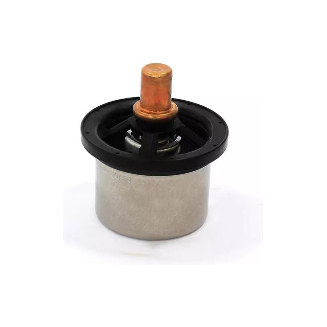Termostato do Motor 504096443 Iveco